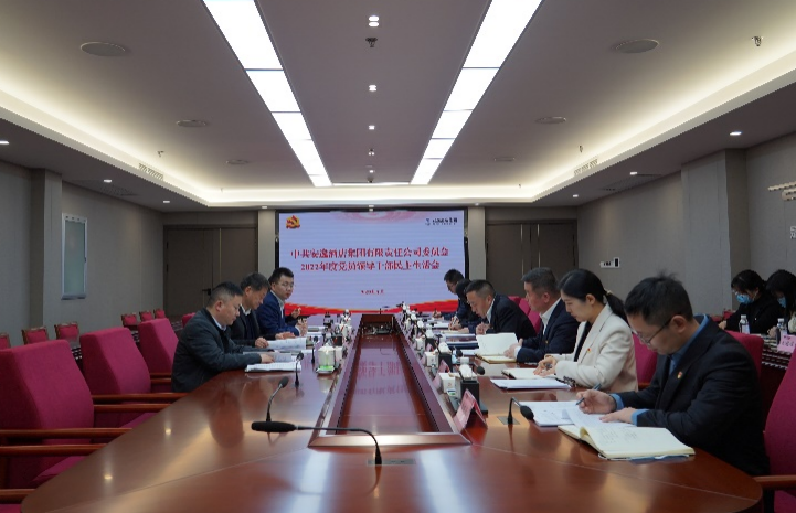 bifa必发集团集团党委书记、董事长任丁出席安逸酒店集团2022年度党员辅导干部民主生涯会